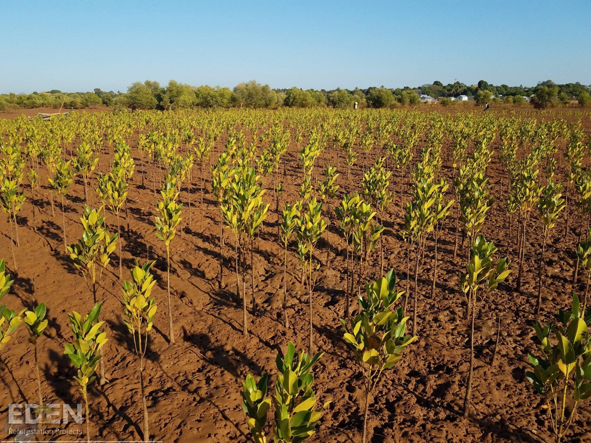 Cashmere Recycling Service - Cashmere Circle