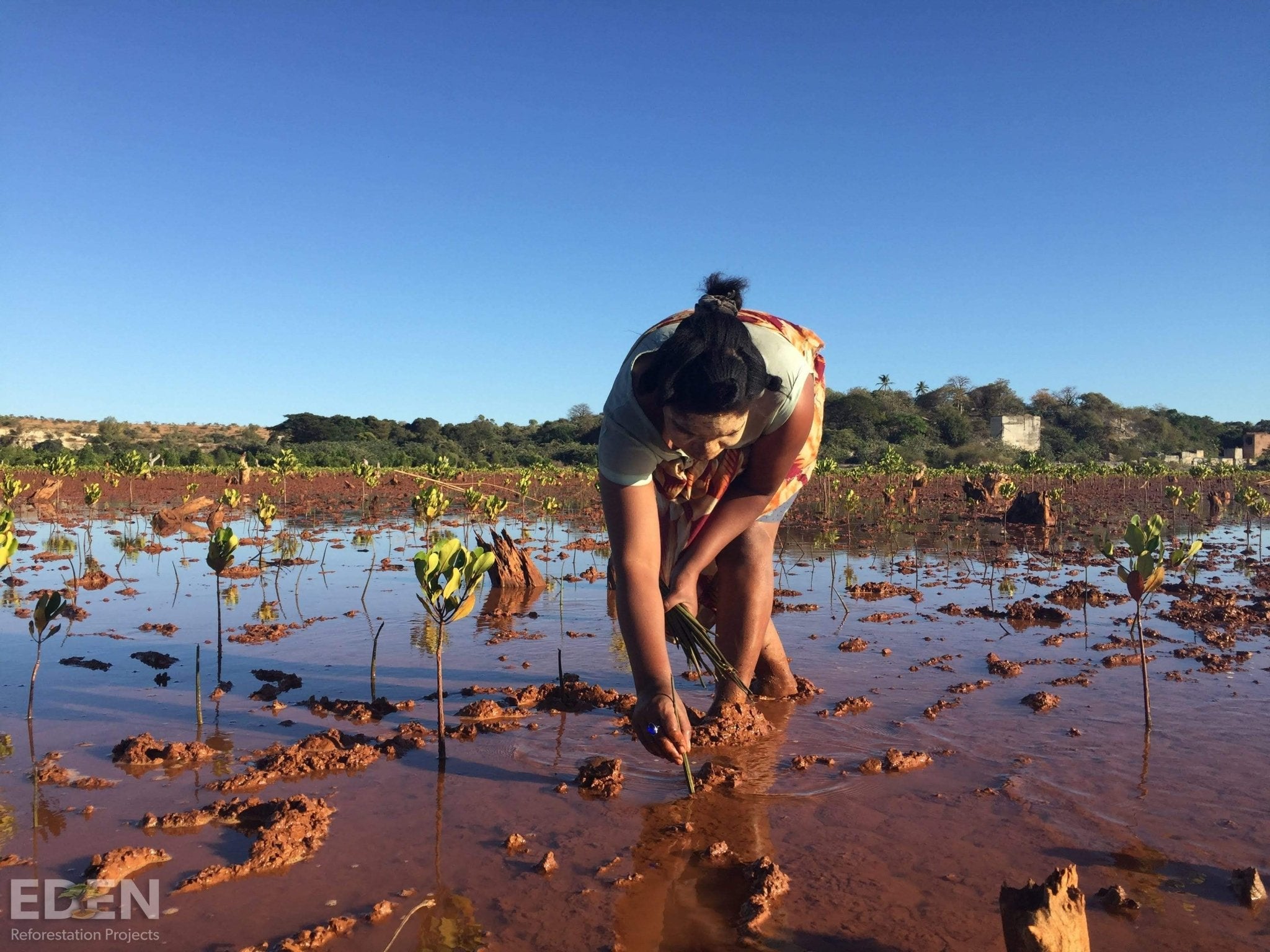 Cashmere Recycling Service - Cashmere Circle