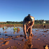 Cashmere Recycling Service - Cashmere Circle