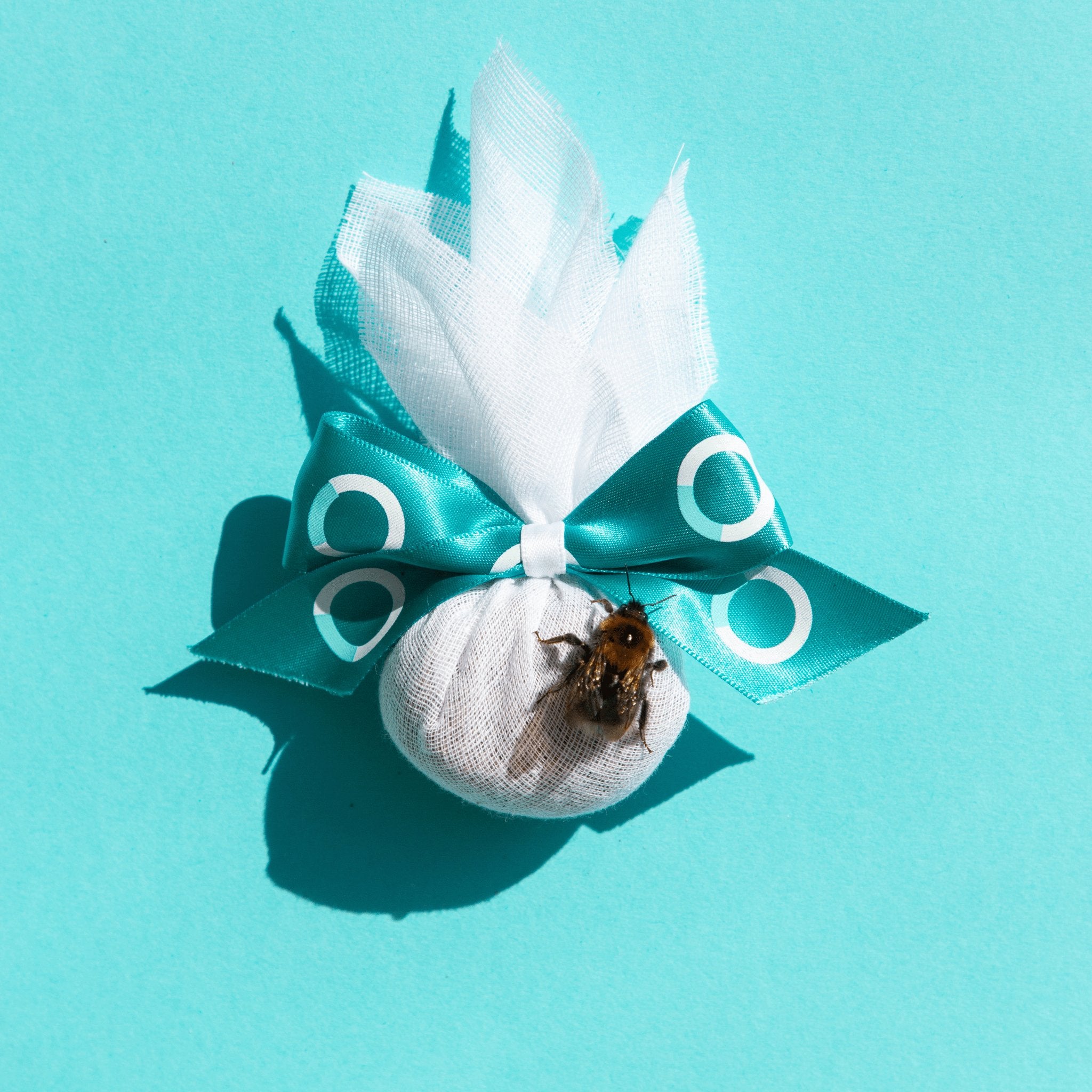 Moth Protection Pack - Cashmere Circle