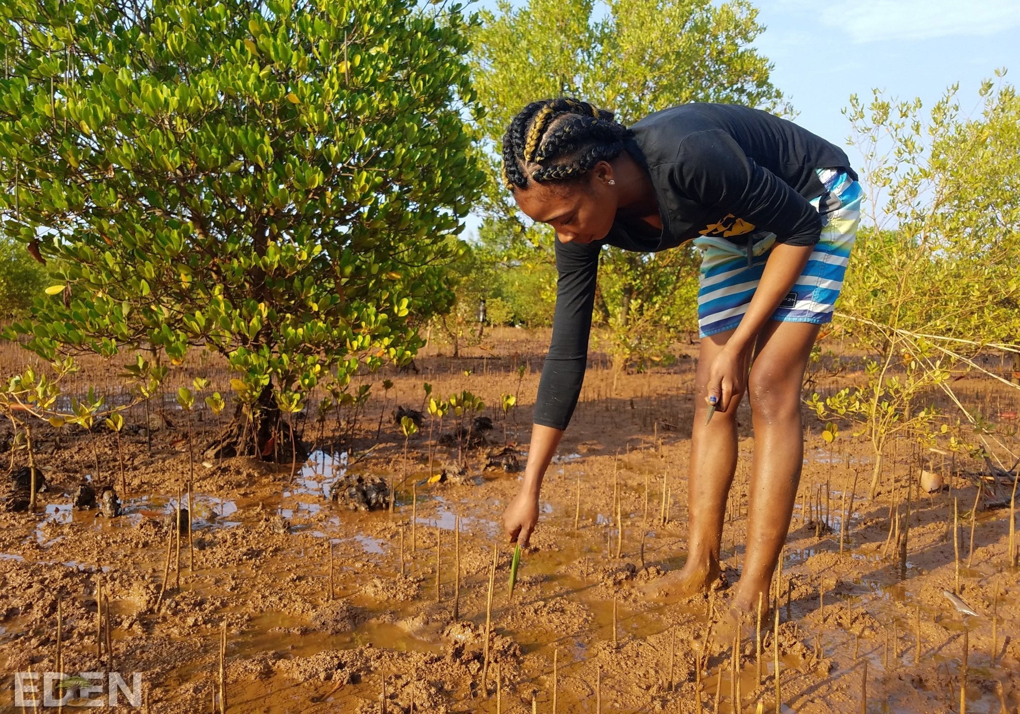 Celebrating Sustainability: Cashmere Recycling for Carbon reabsorption in Tree Planting - Cashmere Circle