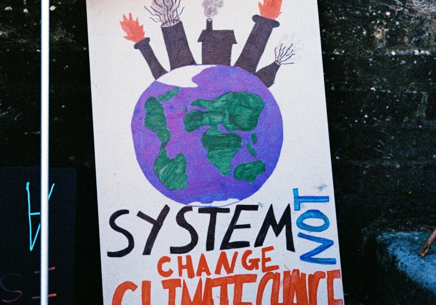 If Not Us, Then Who? 7 Personal Climate Actions With The Biggest Impact. - Cashmere Circle