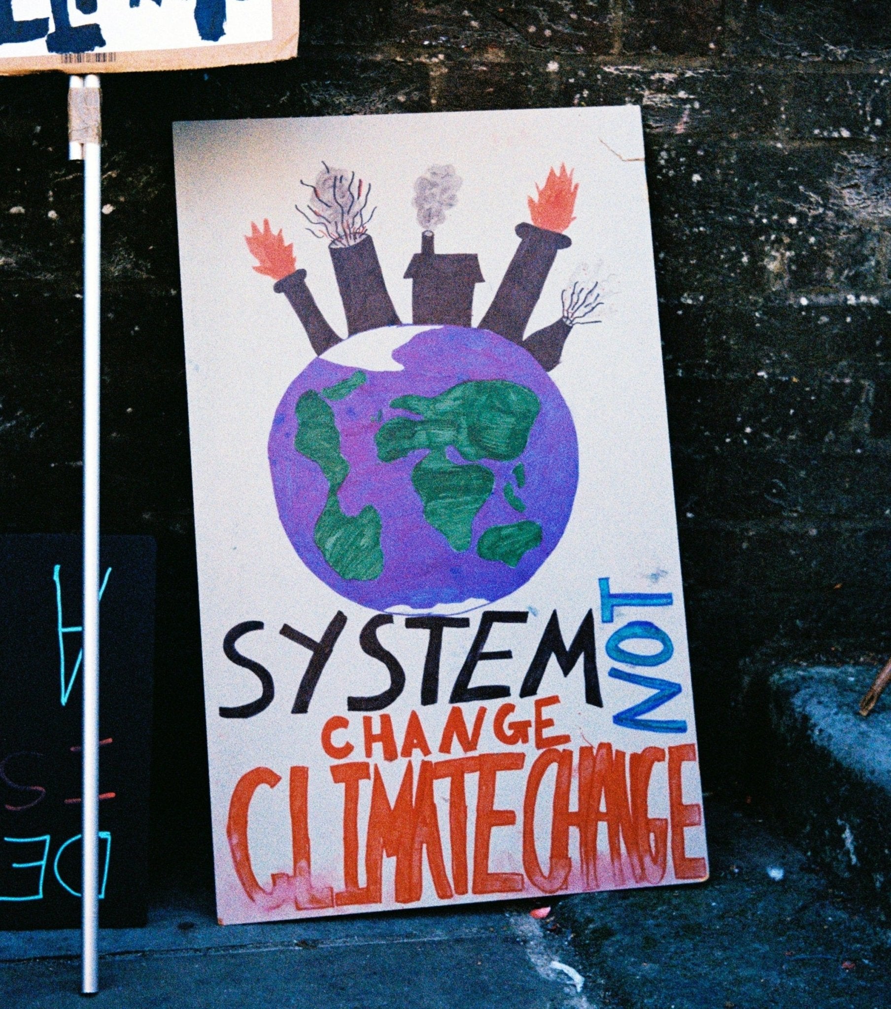 If Not Us, Then Who? 7 Personal Climate Actions With The Biggest Impact. - Cashmere Circle