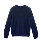 Mens Cashmere V Neck Sweater